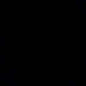 Meet your Posher, Damarcus