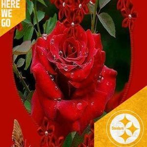 Meet your Posher, Dawn