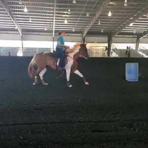 Meet your Posher, Christina