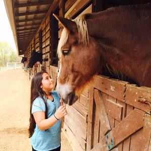 Meet your Posher, Susan