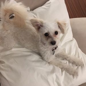 Meet your Posher, Caitlyn