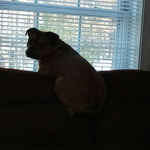 Meet your Posher, Debra