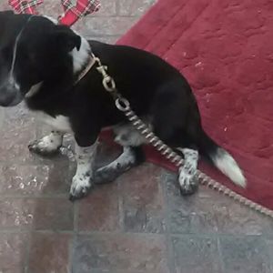 Meet your Posher, Deborah