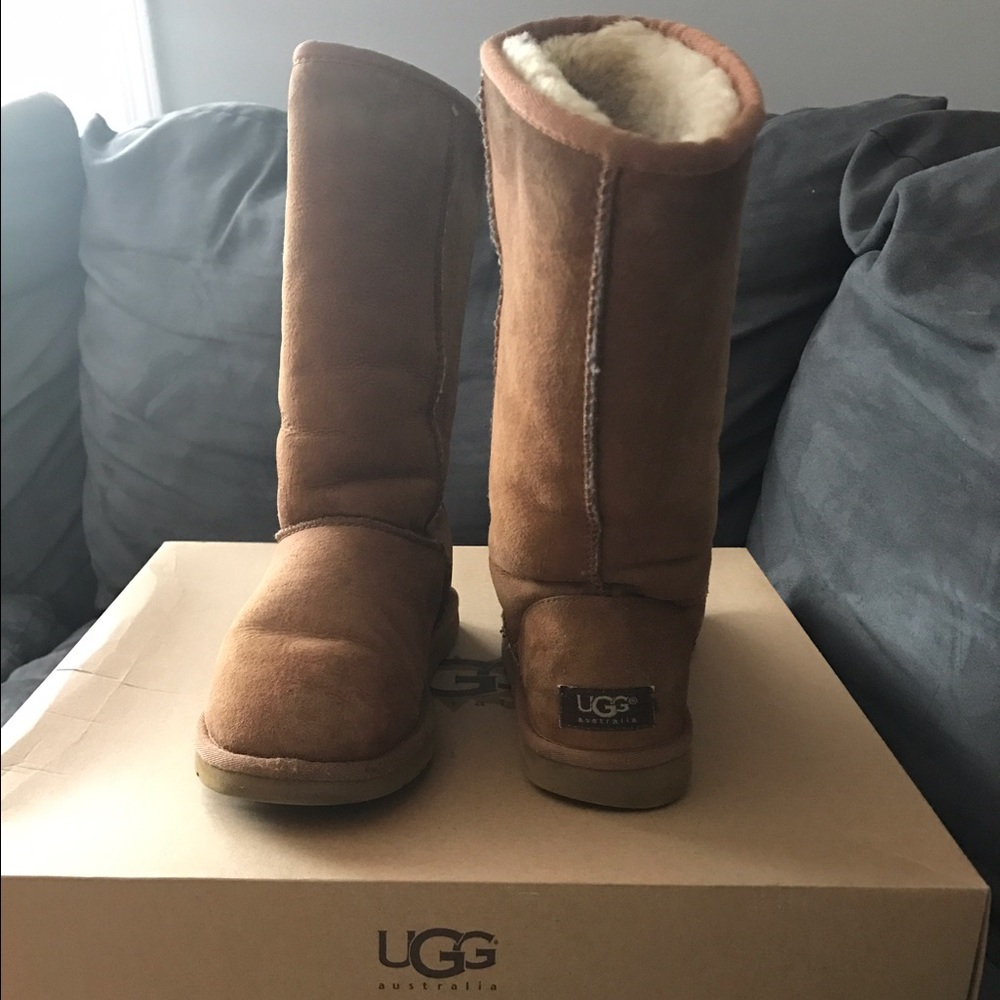 Tall Chestnut Uggs