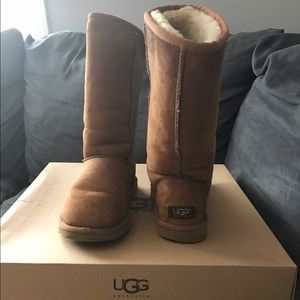 Tall Chestnut Uggs