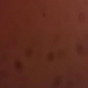 Meet your Posher, Juan