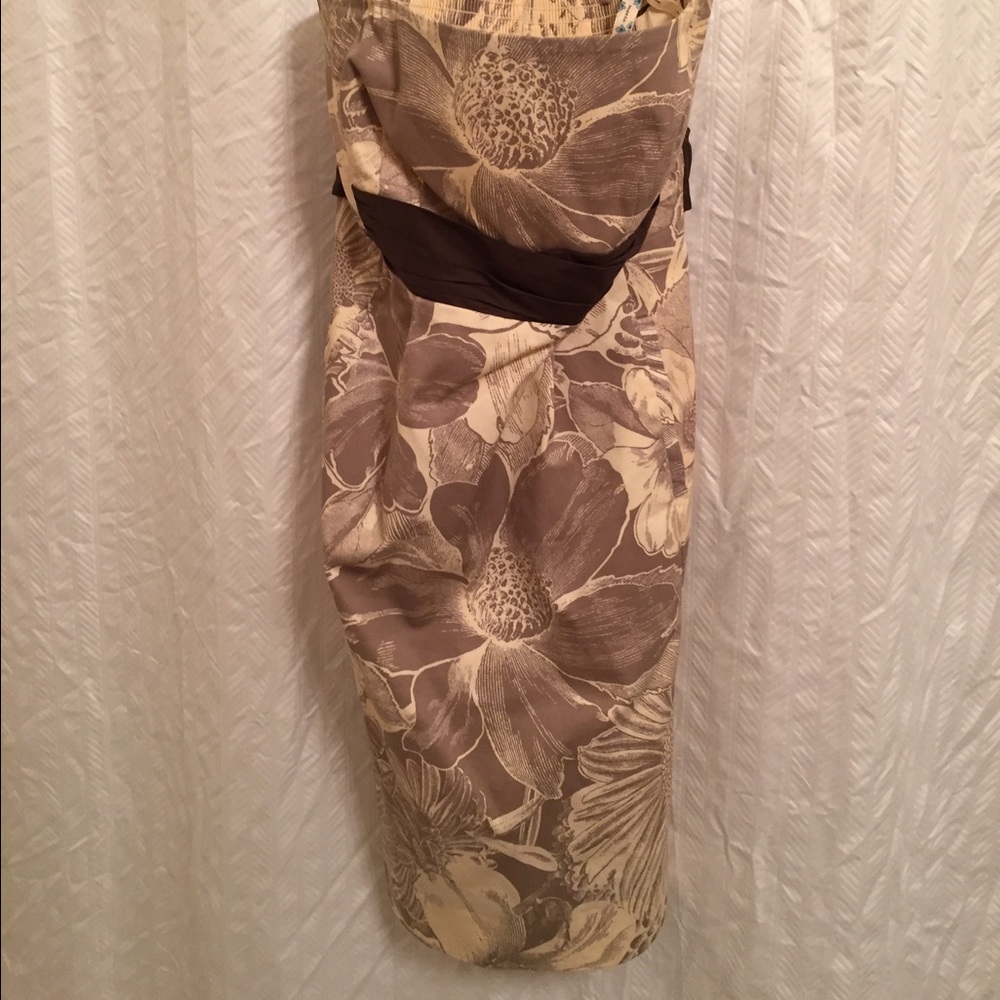 Anthropologists dress