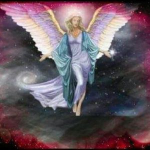 Meet your Posher, Joy