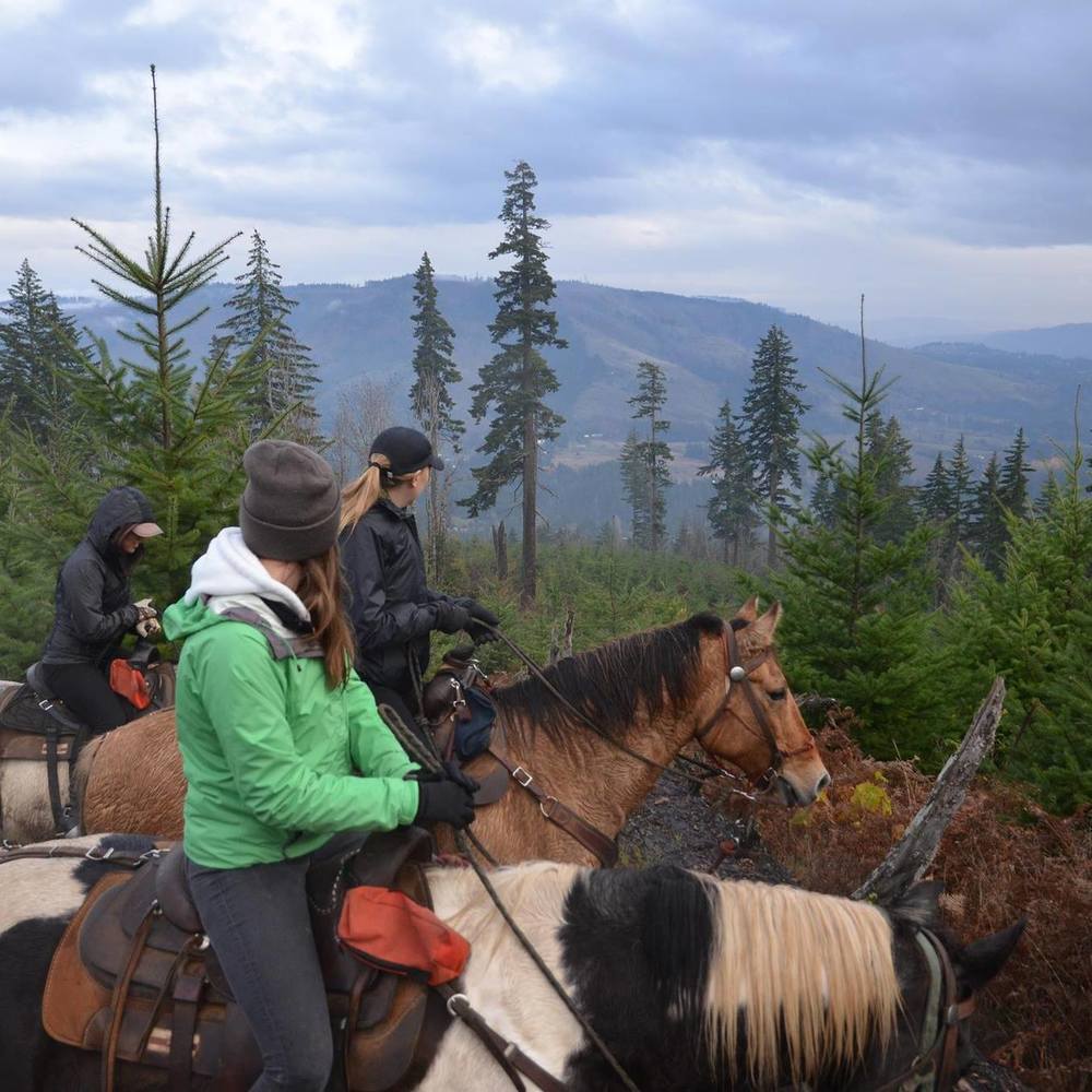 Meet your Posher, Erika