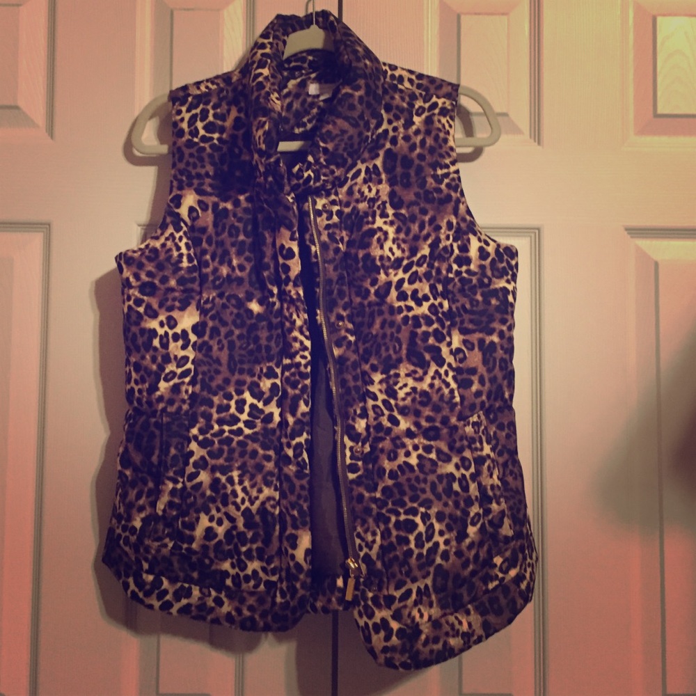 Winter vest
