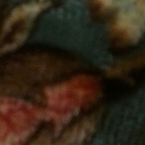 Meet your Posher, Antonia