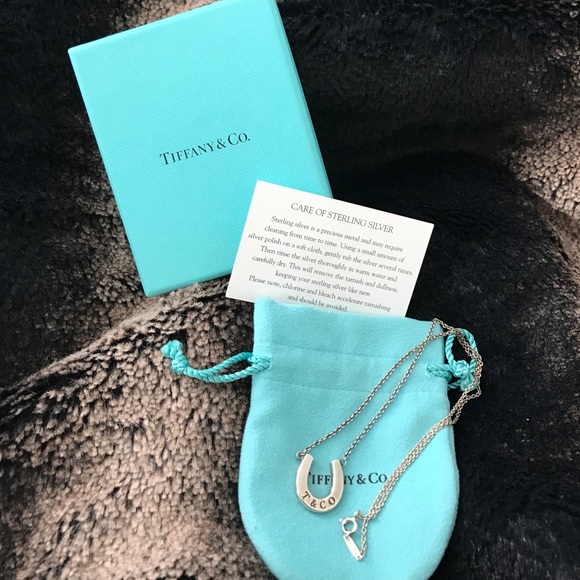 Tiffany & Co. Jewelry - Tiffany & Co Horseshoe🐎Pendant🐎