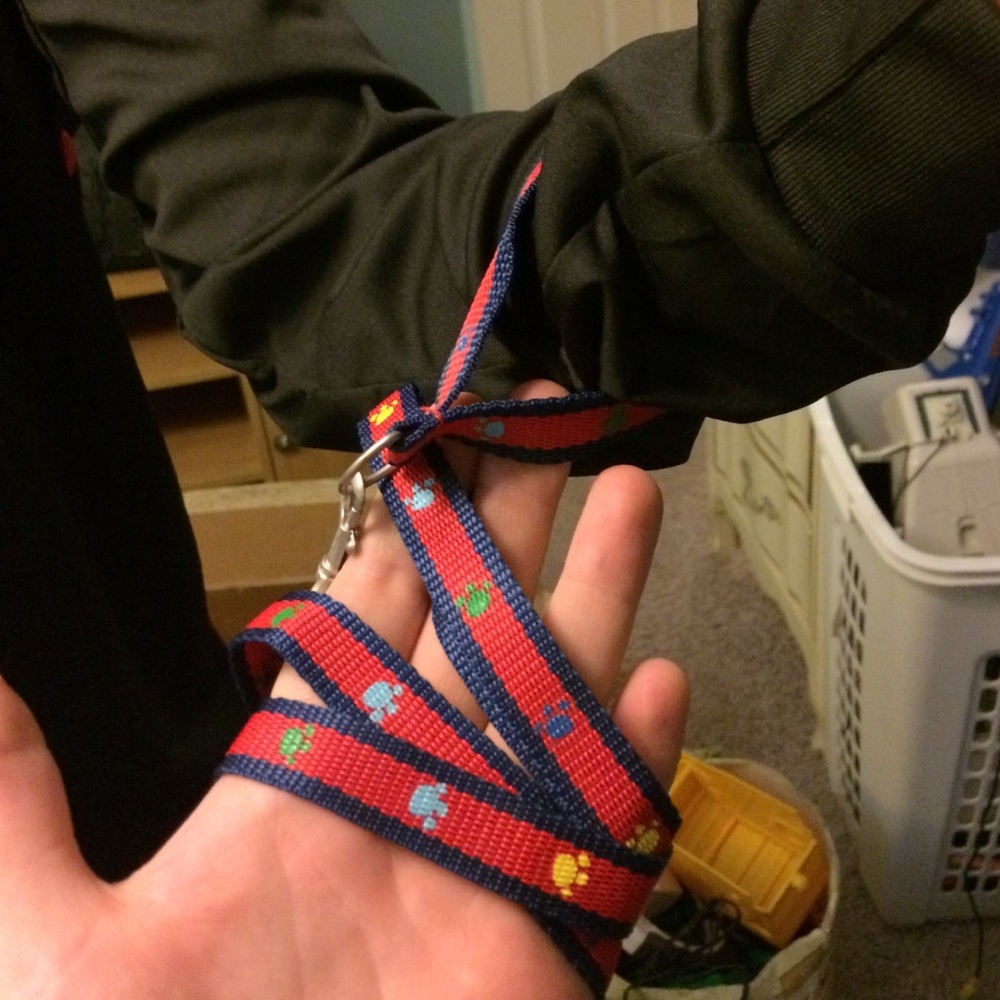 Small dog leash