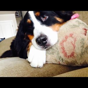 Meet your Posher, Julia