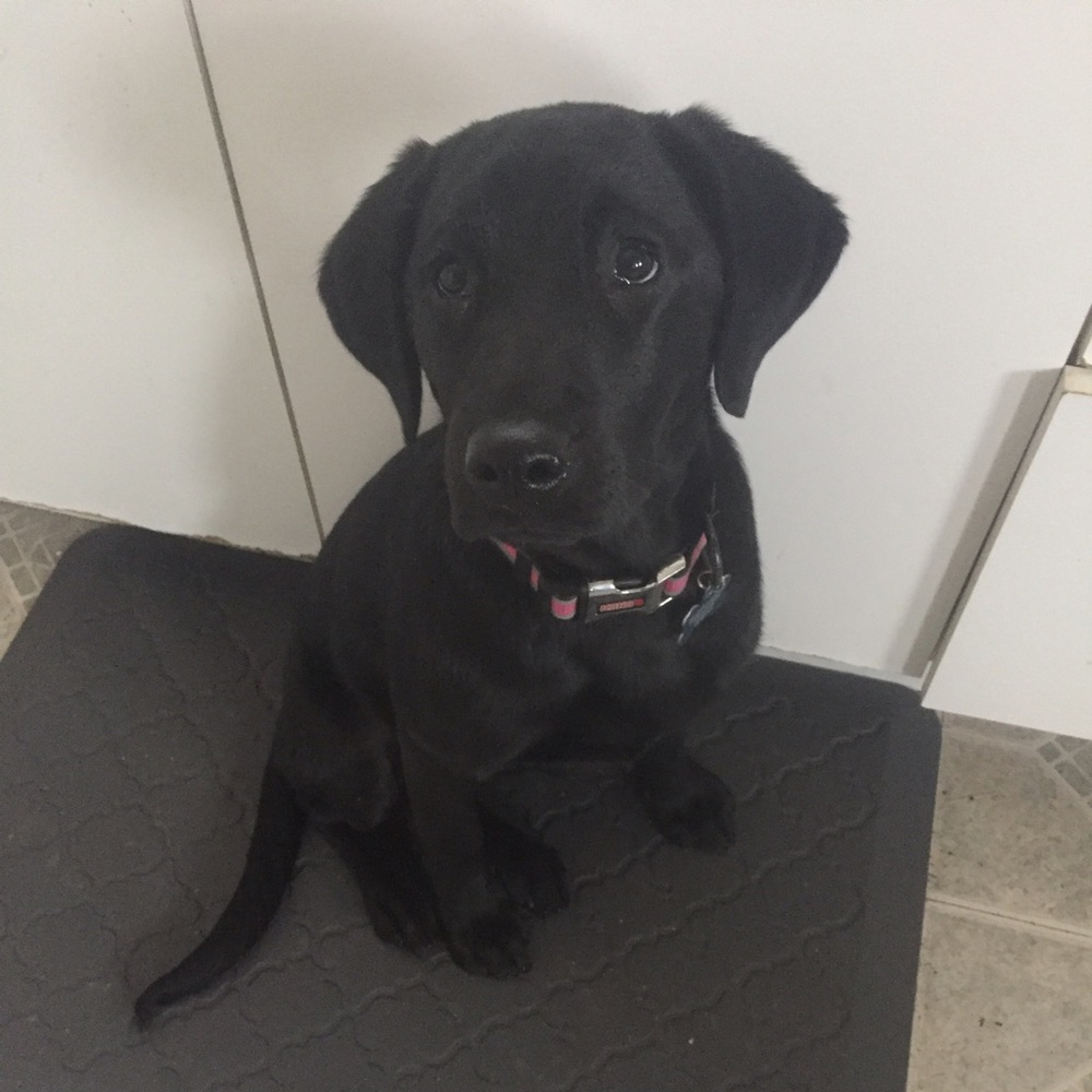 Meet your Posher, Geena