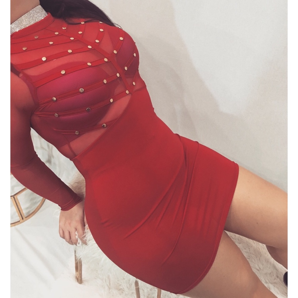 * Valentines Day Dress* Long sleeve mesh dress.
