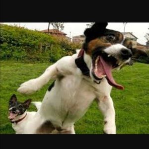 Meet your Posher, Vicki