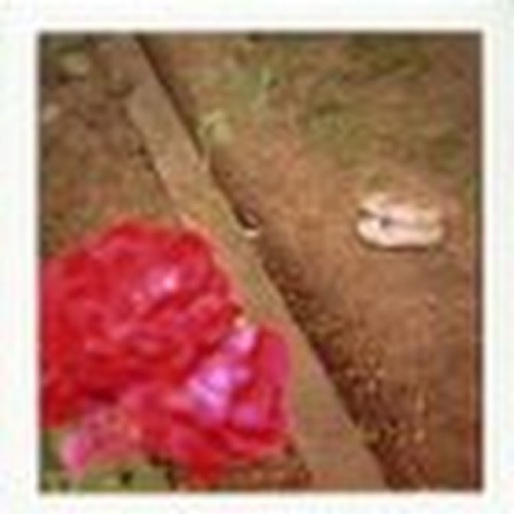 Meet your Posher, Kat