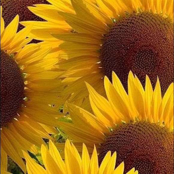 ππ» Happy Poshing!! π»π - Picture 2 of 2