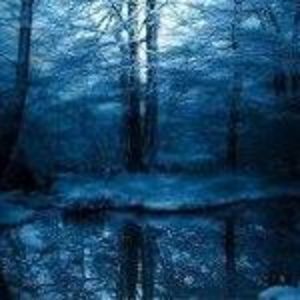 Meet your Posher, Candace