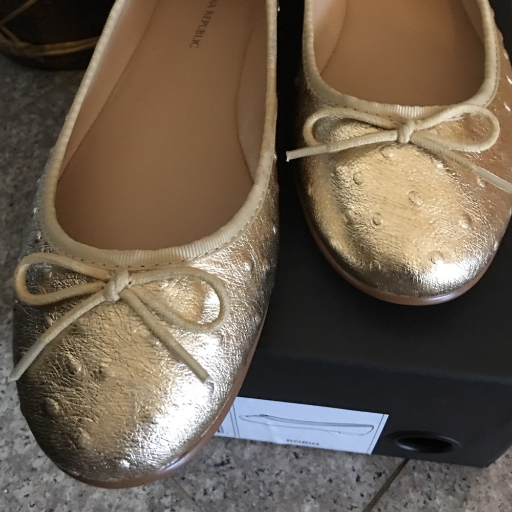 Brand New Banana Republic Ballerinas shoes - Picture 4 of 4