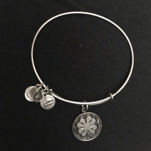 Alex & Ani Energy Bangle
