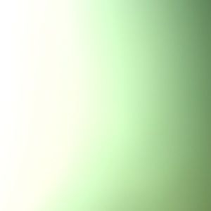 iPhone 6/6s otterbox