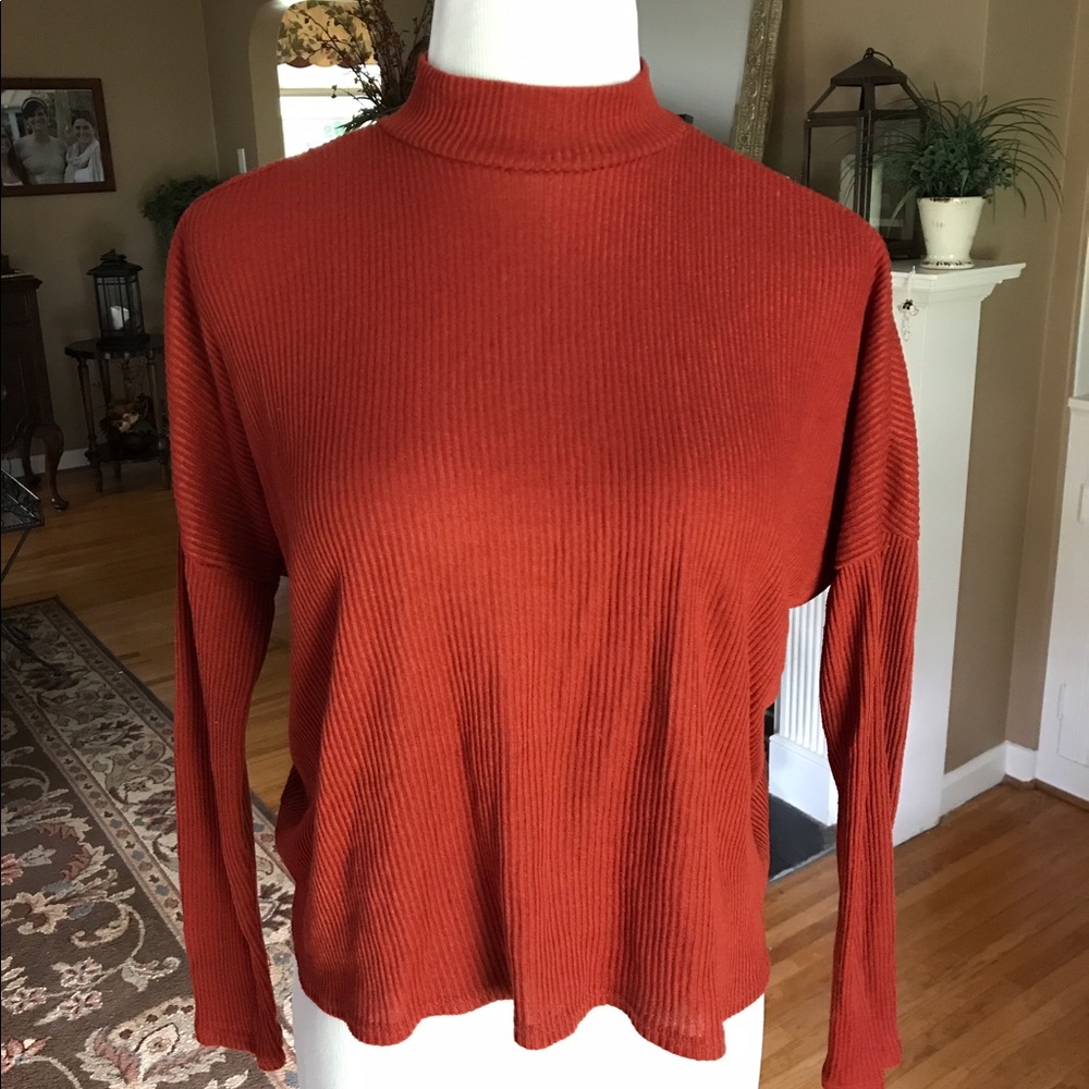High Neck Cropped Long Sleeve Top