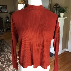 High Neck Cropped Long Sleeve Top