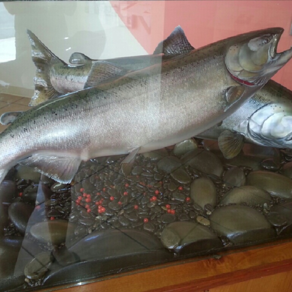 Meet your Posher, Angie