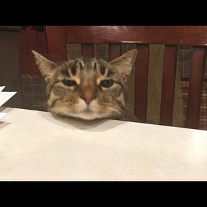 Meet your Posher, Theresa