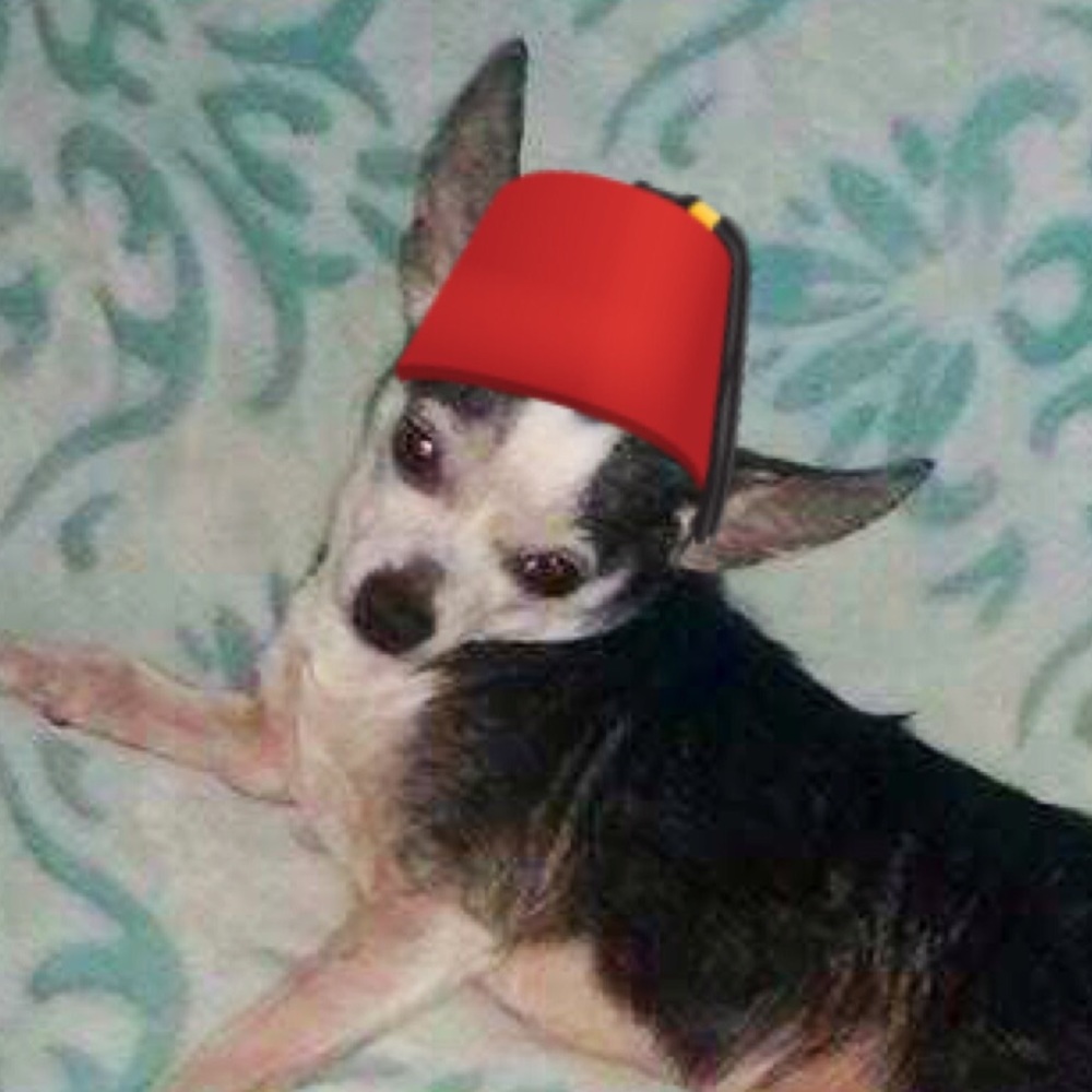 Meet your Posher, Kim