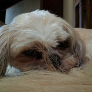 Meet your Posher, Cathy