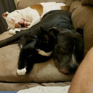 Meet your Posher, Amber