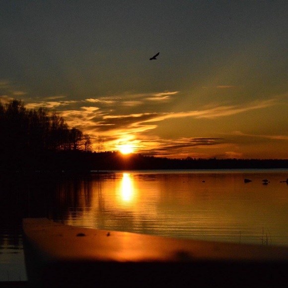 Meet your Posher, Haley - Picture 1 of 1