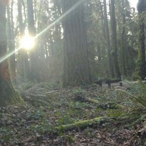 Meet your Posher, Sheena