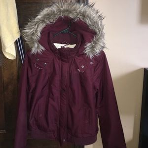 Maroon Hollister Size Large Jacket