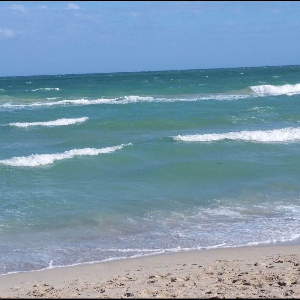 Meet your Posher, Anya