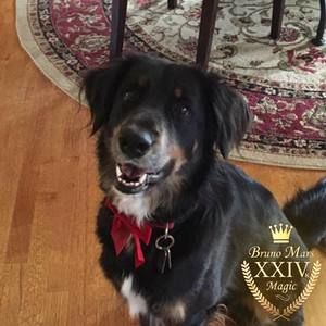 Meet your Posher, Elena