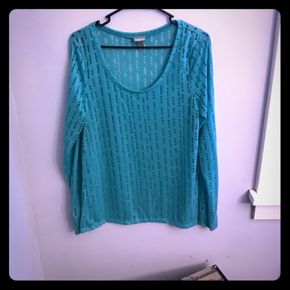 Vanity distressed long sleeve shirt