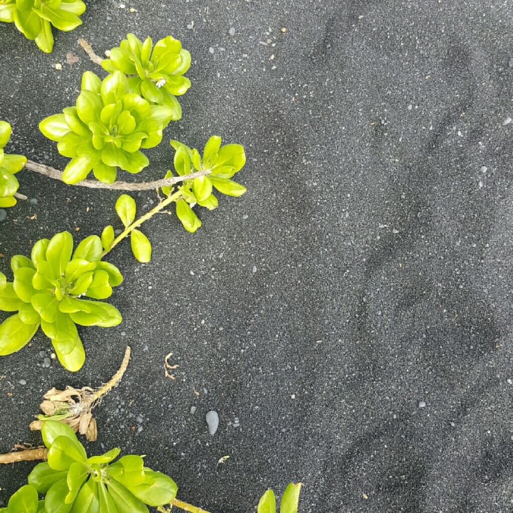 Meet your Posher, Bekah