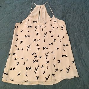 Express Barcelona Cami