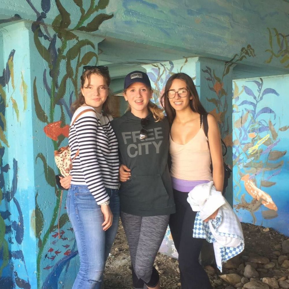 Meet your Posher, Ava