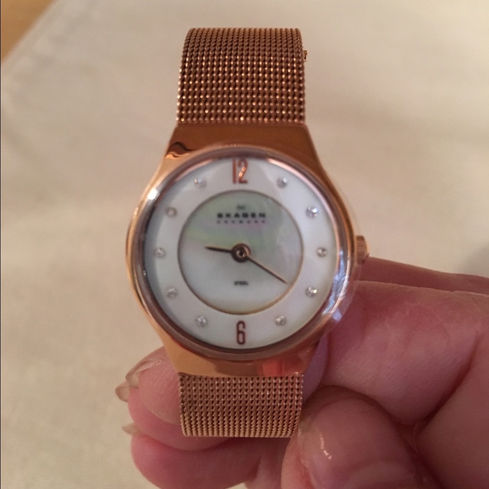 Ladies Skagen Watch