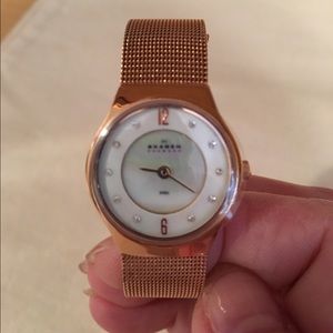 Ladies Skagen Watch