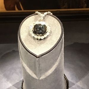 Meet your Posher, Daisy