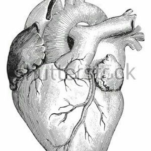 Meet your Posher, Miaya