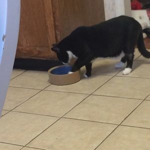 Meet your Posher, Emma