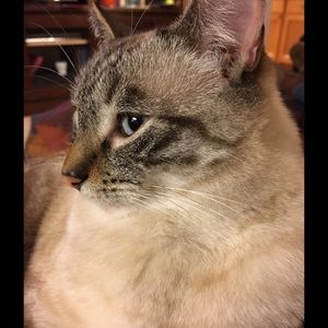 Meet your Posher, Kathryn