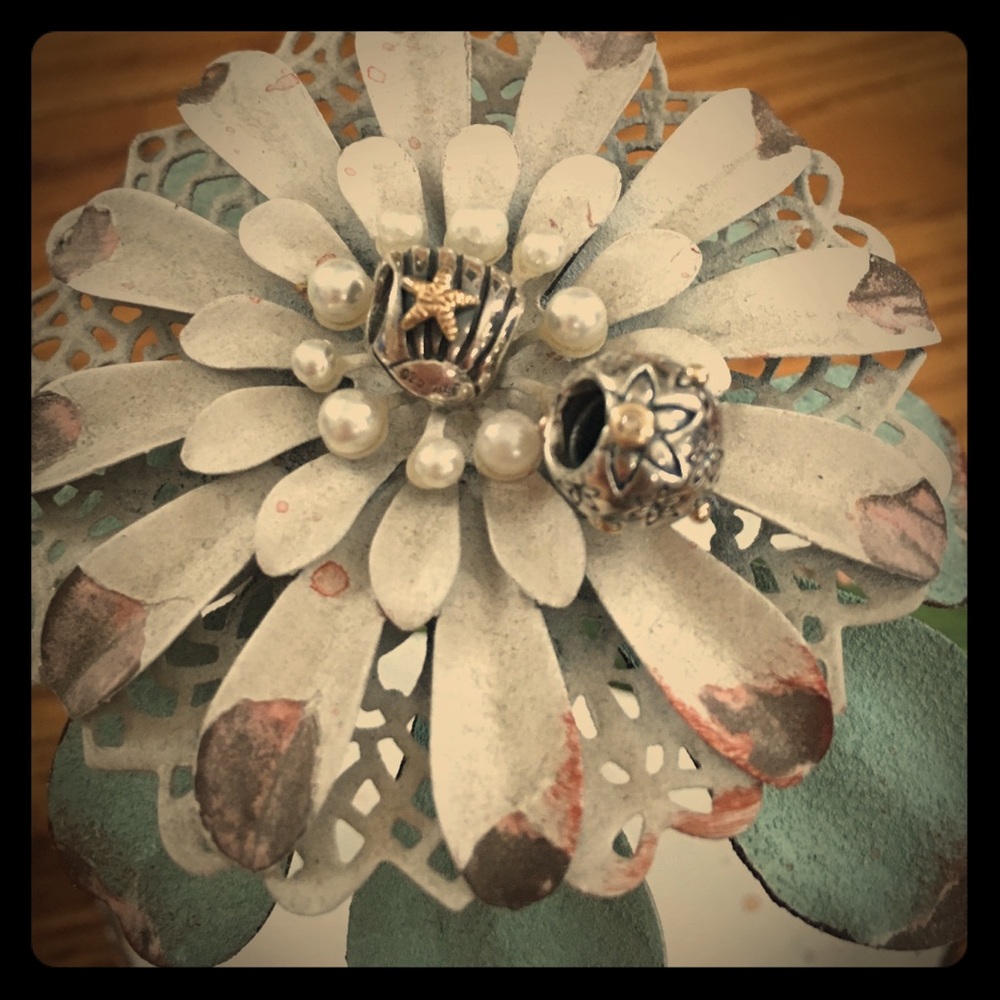 ✨Pandora charms🏝